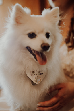 fotograf ślubny żory