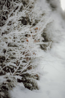 fotograf ślubny żory